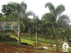 Imóveis à venda em Itaverava MG Imóvel em Itaverava