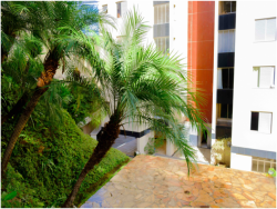 Apartamento para Venda em Belo Horizonte - 5