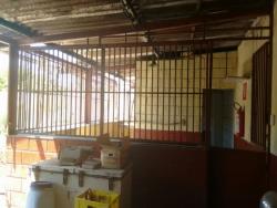 Conjunto Comercial para Venda em Santa Luzia - 5