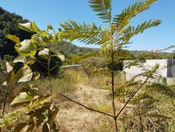 #07504c - Terreno para Venda em Lagoa Santa - MG - 1