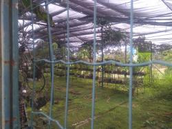 Casa em condomínio para Venda em Jaboticatubas - 5