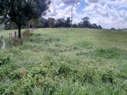 #840FAZNS - Fazenda para Venda em Nova Serrana - MG - 1