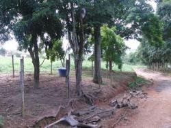#840FAZNS - Fazenda para Venda em Nova Serrana - MG - 2