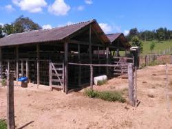 #840FAZNS - Fazenda para Venda em Nova Serrana - MG - 3