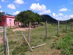 Fazenda para Venda em Nova Serrana - 4
