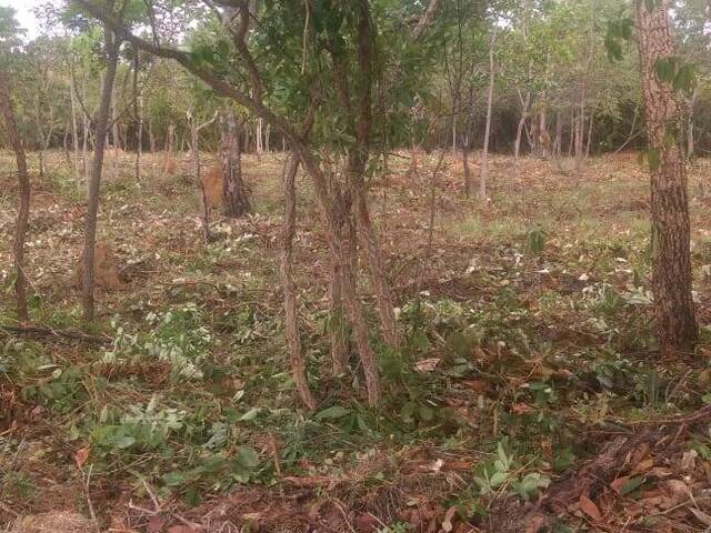 Lote em Condomínio Fechado para Venda em Jaboticatubas - 5