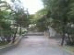 Apartamento para Venda em Belo Horizonte - 4