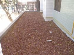 Apartamento para Venda em Belo Horizonte - 5