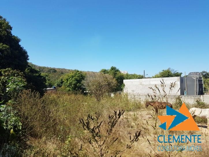 Terreno, 1150 m² - Foto 6
