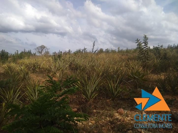 Fazenda, 250 m² - Foto 32