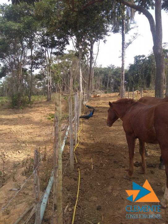 Fazenda, 250 m² - Foto 34