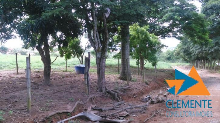 Terreno, 10 hectares - Foto 2