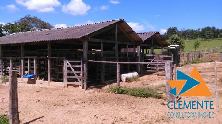 Terreno, 10 hectares - Foto 3