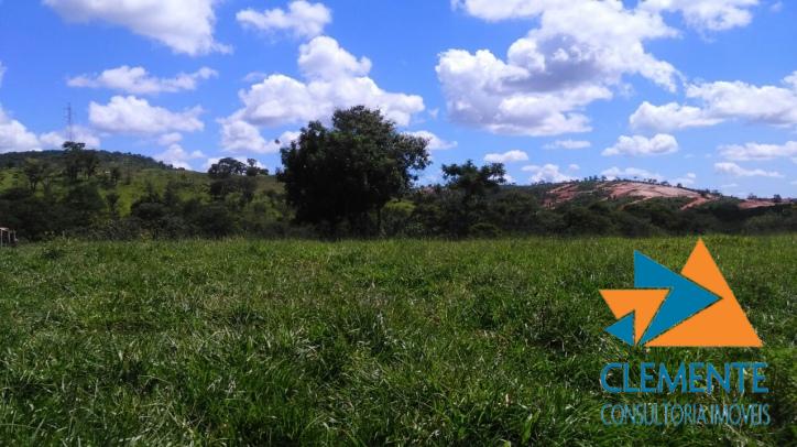 Terreno, 10 hectares - Foto 6