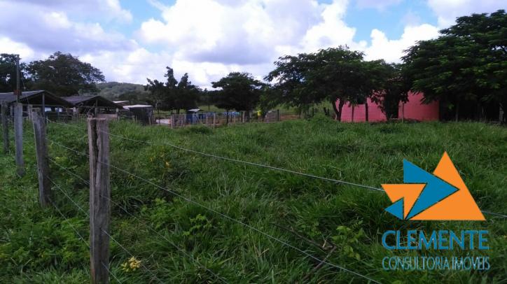 Terreno, 10 hectares - Foto 18
