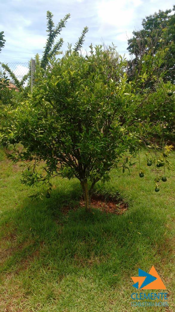 Casa, 4 quartos, 270 m² - Foto 2