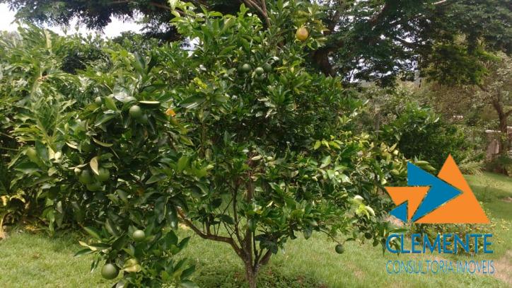 Casa, 4 quartos, 270 m² - Foto 10