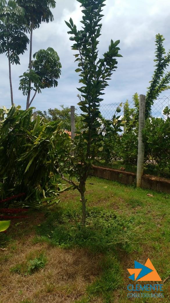 Casa, 4 quartos, 270 m² - Foto 12