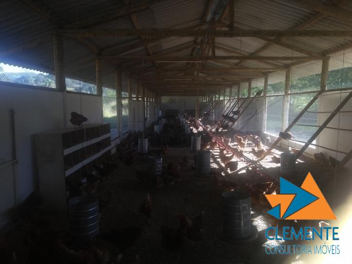 Fazenda, 1200 m² - Foto 44