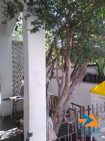 Casa, 6 quartos, 250 m² - Foto 6