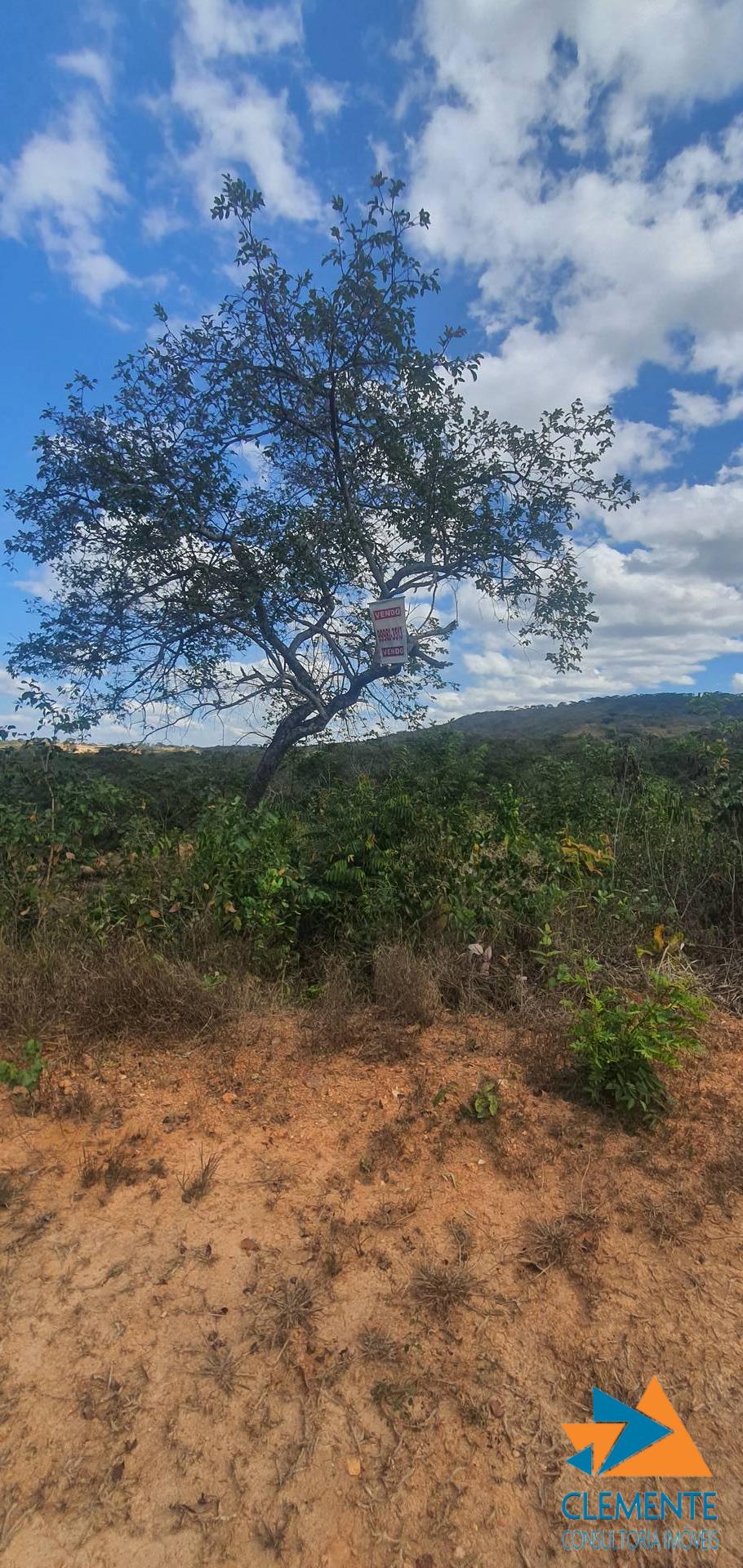 Terreno - Foto 9