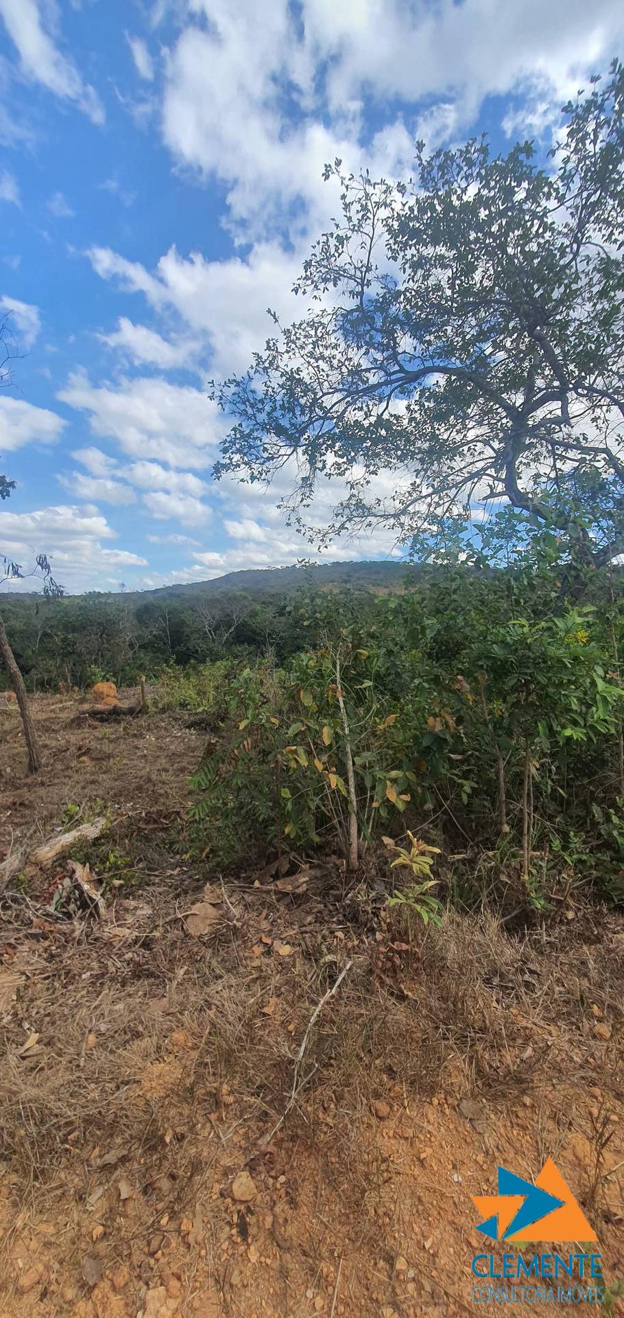Terreno - Foto 10
