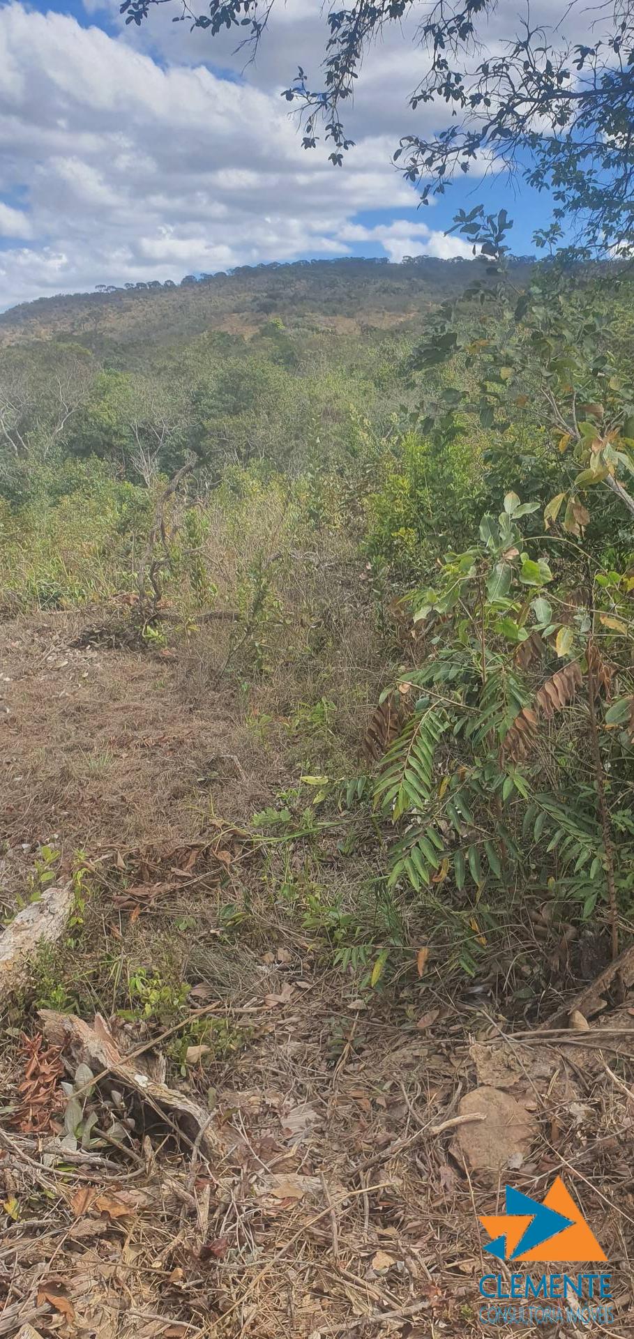 Terreno - Foto 11