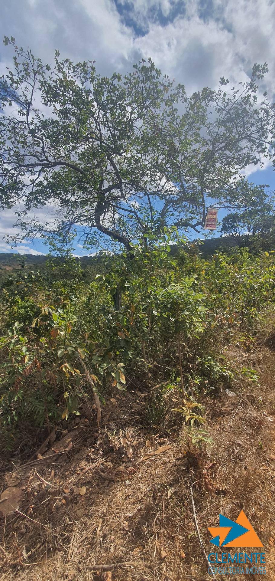 Terreno - Foto 12