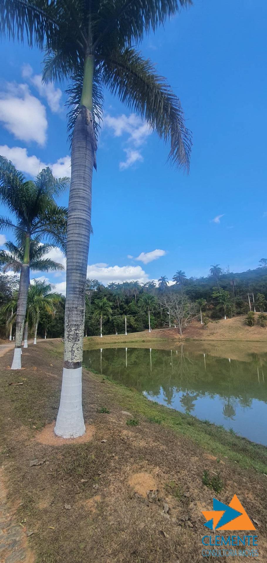 Terreno, 1000 m² - Foto 5
