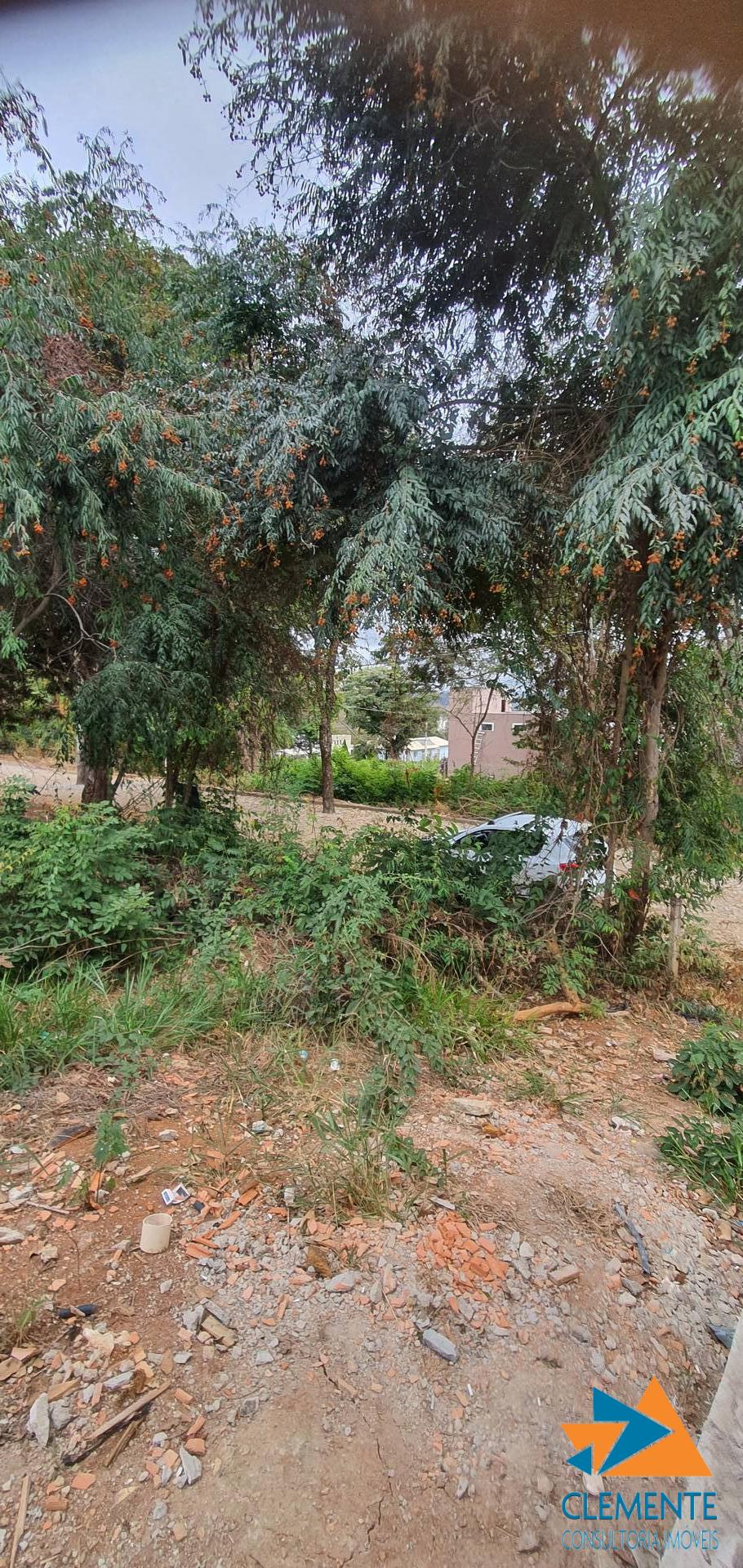 Terreno, 513 m² - Foto 7