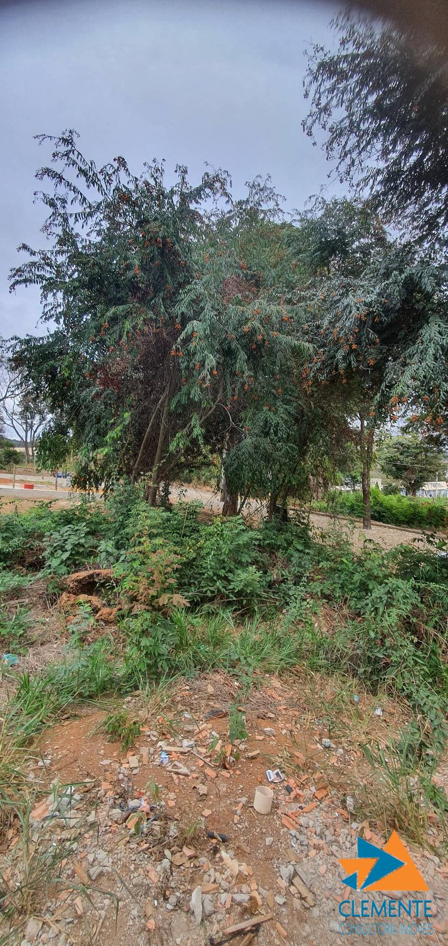 Terreno, 513 m² - Foto 8
