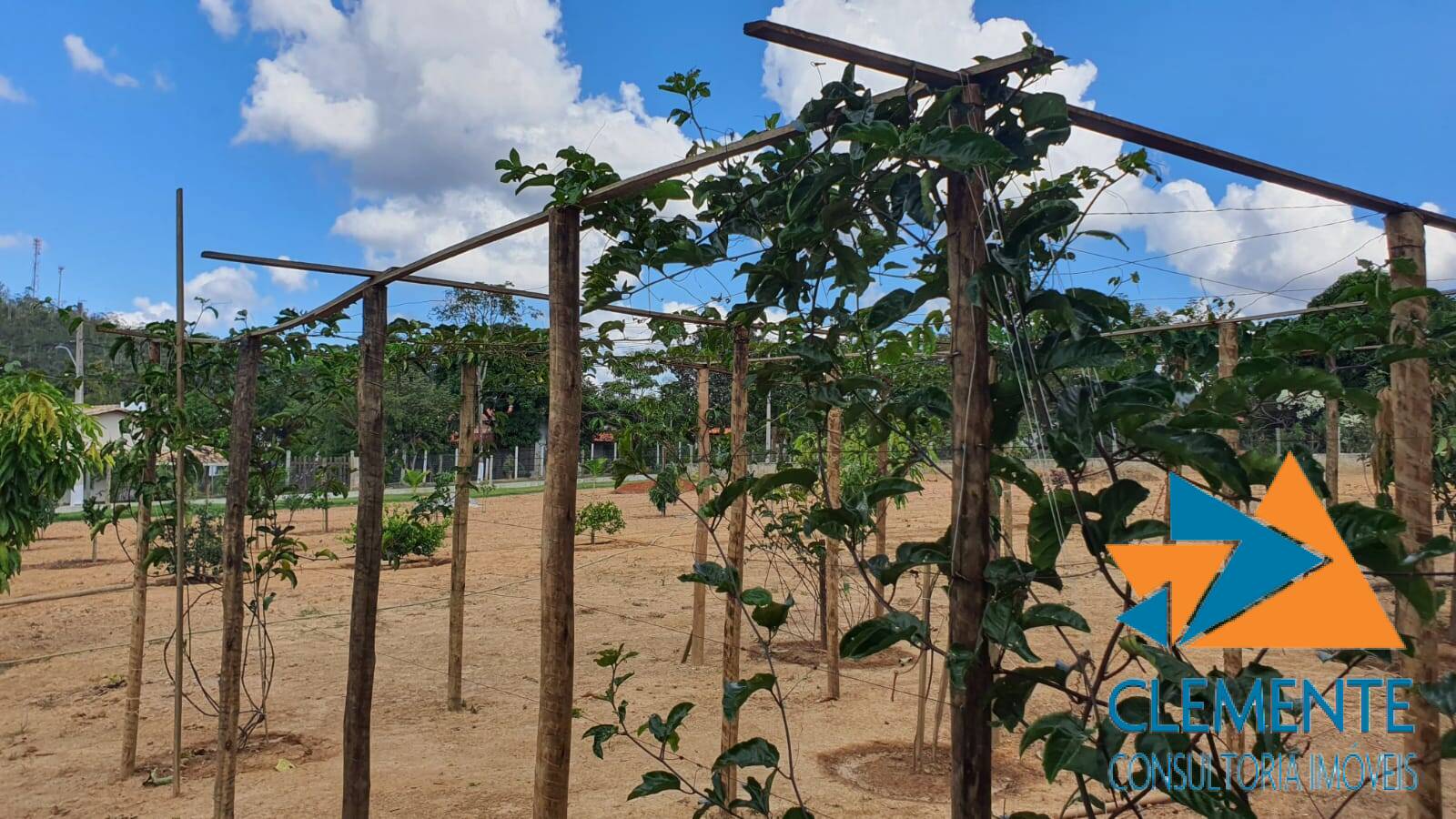 Terreno, 2000 m² - Foto 23