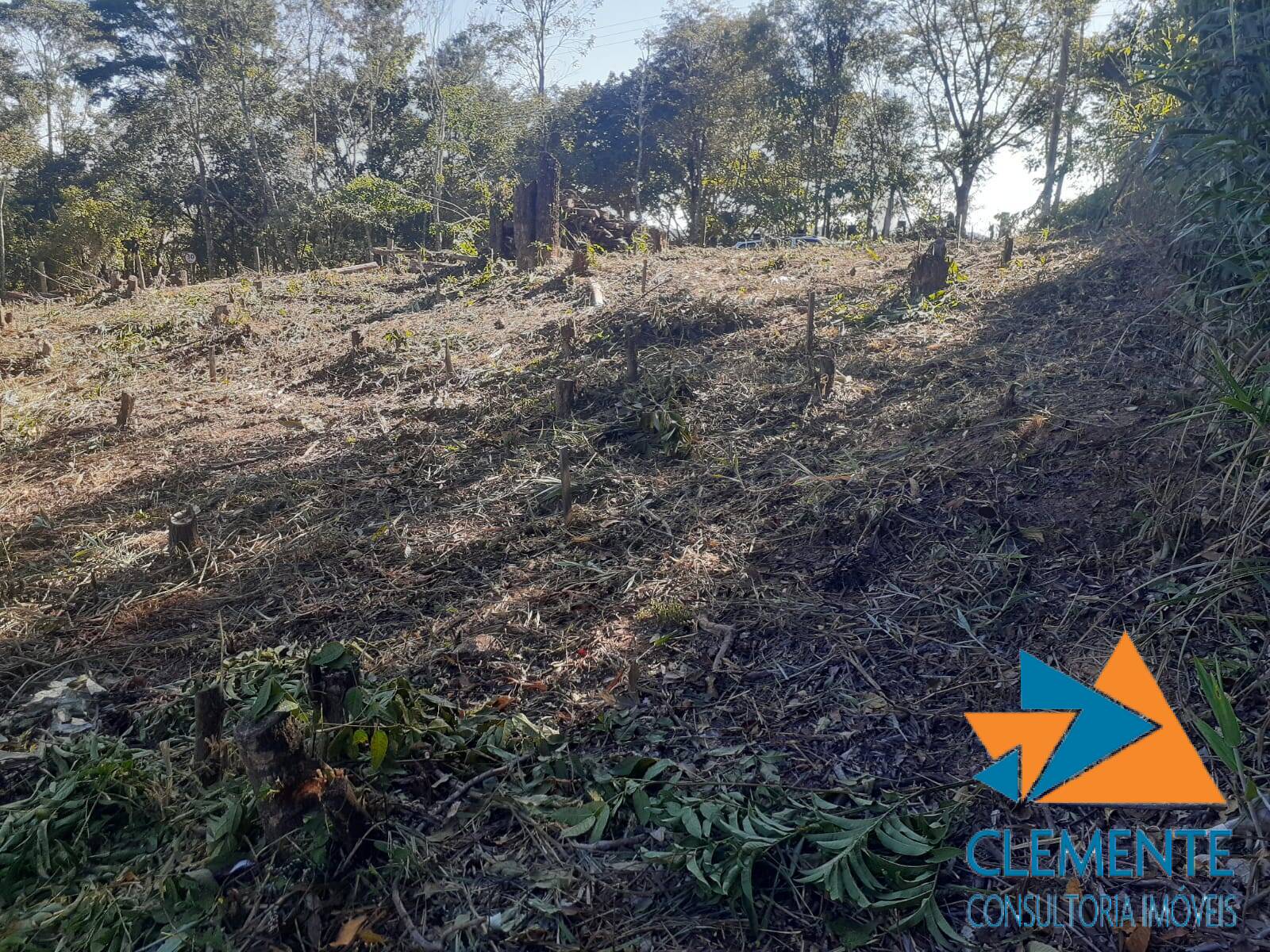 Terreno à venda, 3150m² - Foto 14