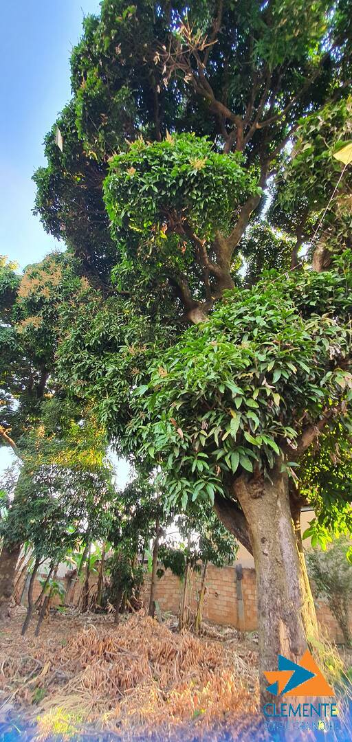 Casa, 3 quartos, 127 m² - Foto 56