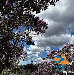 Terreno, 1000 m² - Foto 7