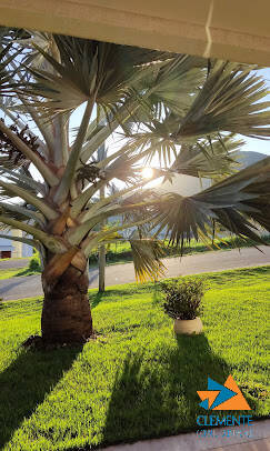 Terreno, 1000 m² - Foto 15