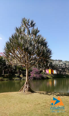 Terreno, 1000 m² - Foto 14