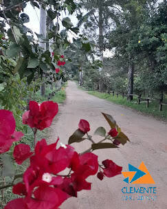 Terreno, 1000 m² - Foto 16