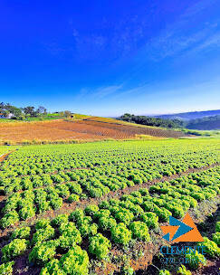 Terreno, 1000 m² - Foto 20