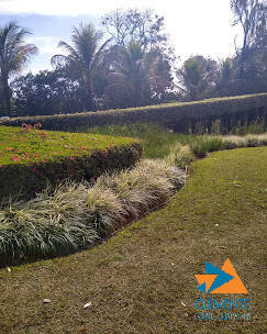 Terreno, 1000 m² - Foto 18