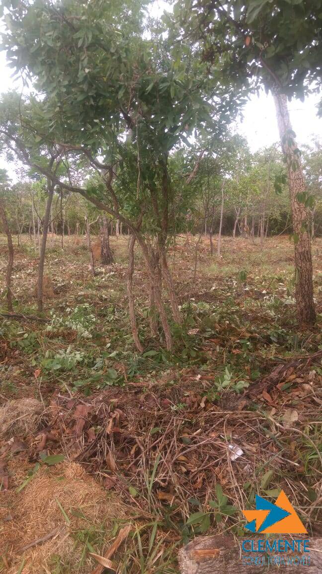 Terreno, 1000 m² - Foto 7